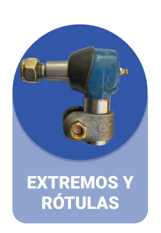 EXTREMOS Y RÓTULAS